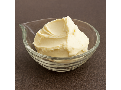 【不二製油】2年熟成のチーズ風味をわずか5日で実現！発酵の力を最大限に引き出す製法で次世代チーズ様素材が誕生