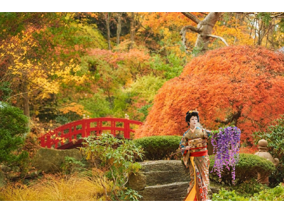 日本庭園の紅葉を借景に、日本舞踊を間近で　札幌エルムガーデンが平日限定ランチ〈野舞（のまい）会席〉開催中