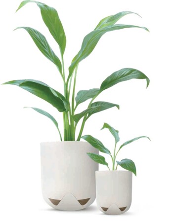 KAFUポットプランターを「フラワートライアルジャパン2025秋」に初出展