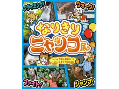 オービィ横浜 ネコを知り ネコになりきる 期間限定イベント なりきりニャンコ展 開催 期間 18年10月日 土 19年3月10日 日 企業リリース 日刊工業新聞 電子版