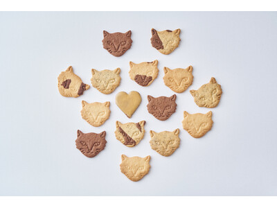 【フェアリーケーキフェア】阪急うめだ本店限定“チョコレート×キャラメル”新作スイーツ２種を発売！「阪急バレンタインチョコレート博覧会2026」2/4(水)～2/14(土)