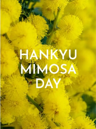 3月8日(水)はミモザの日！心と体を見つめなおすセルフケアアイテムやヒントを見つける　阪急うめだ本店「HANKYU MIMOZA DAＹ」
