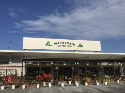 【関西初出店】希少な沖縄県産コーヒーが、大阪の阪神百貨店に登場！