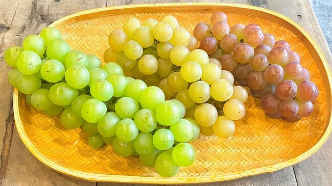 【阪神梅田本店】約50年にも及ぶ開発の末誕生した、大阪オリジナルぶどう「虹の雫」が本年初入荷します！