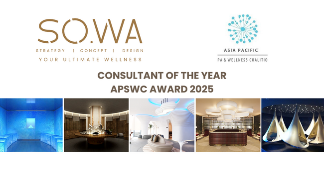 プレスリリース「SO.WAコンサルタンシーがAPSWCアワード2025にて「コンサルタント・オブ・ザ・イヤー」を受賞」のイメージ画像