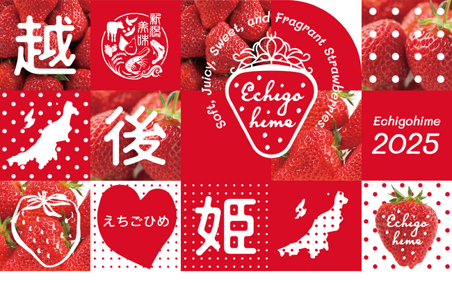 新潟県内初！「越後姫ファンパス2025」販売スタート！お得に！美味しく！越後姫を楽しむアイテム登場！