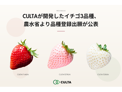 CULTAが開発したイチゴ3品種、農水省より品種登録出願が公表