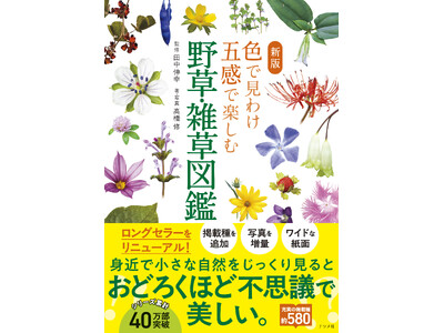 好評のロングセラー本をリニューアル『新版　色で見わけ五感で楽しむ野草・雑草図鑑』が2月18日発売！