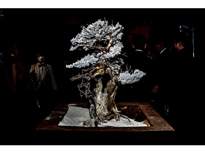「宇宙 × 侘び寂びラグジュアリー」TAIZAN、各界の著名人が集う国際映画祭にてサステナブル盆栽アートを発表