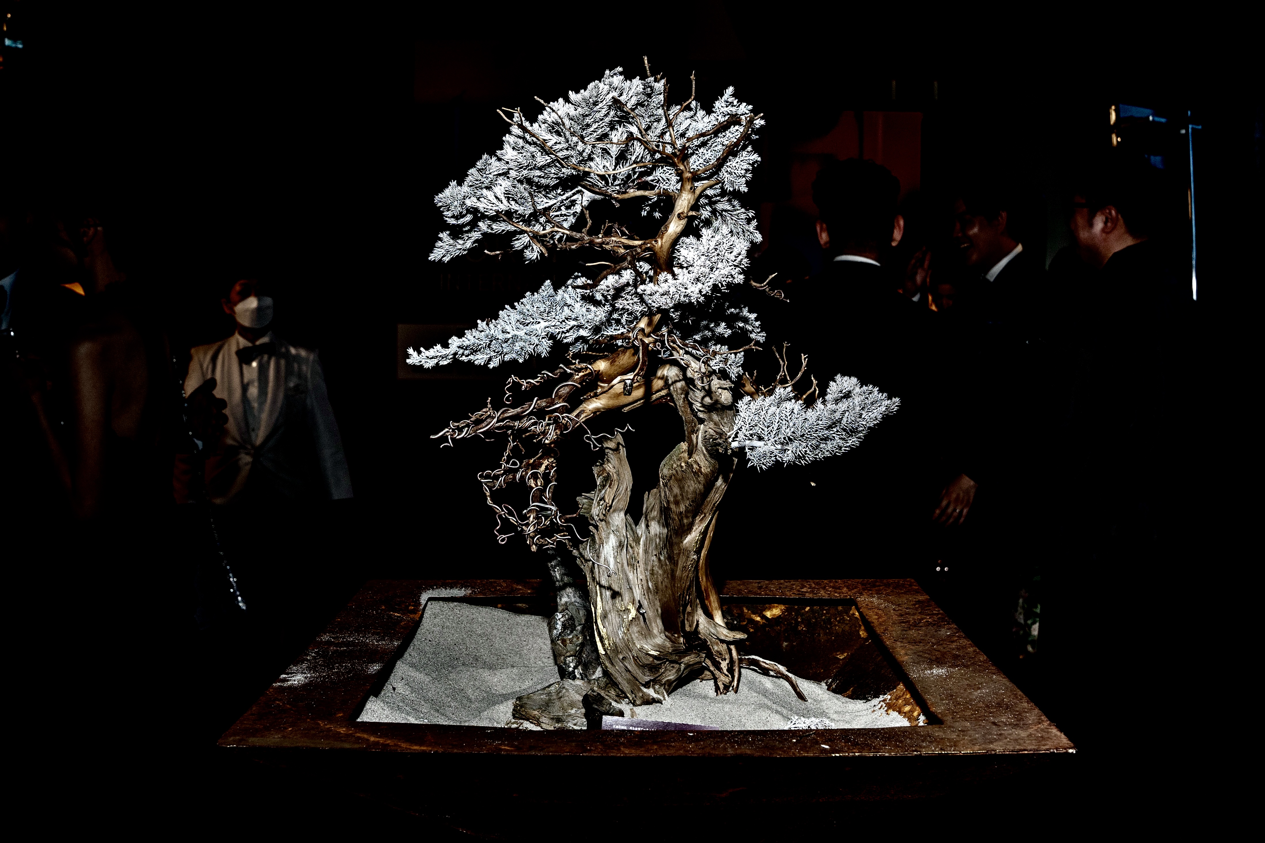 【盆栽車】枯れた盆栽を、侘び寂びラグジュアリーへ昇華する「TAIZAN BONSAI （甦盆：SOBON）」、移動式茶室「TAIZAN TRUCK」での盆栽アート展示を開始。