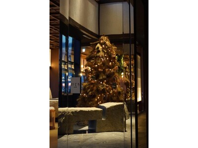 パティーナ大阪、開業後初のフェスティブシーズン “トランスフォーマティブ”な循環型クリスマスツリーを中心にサステナブル装飾を展開