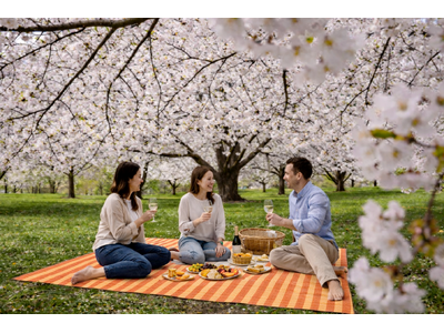 �p�e�B�[�i���A��������ł̉Ԍ��̌���V���ɒ��