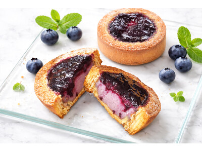 【春夏限定】ベイクド×レアの“いいとこどり”！ブルーベリー尽くしの濃厚グルテンフリースイーツ「ブルーベリ...