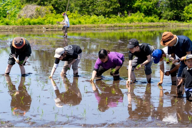 コメ不足の今だからこそ体験してほしい!!「親子でお米の田植え体験イベント」を5月25日に開催