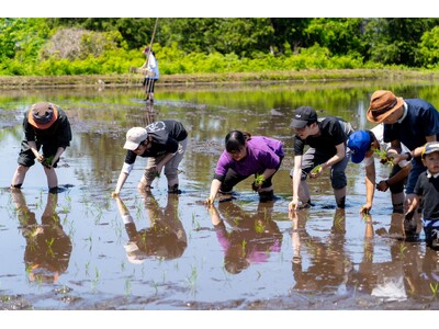 コメ不足の今だからこそ体験してほしい!!「親子でお米の田植え体験イベント」を5月25日に開催