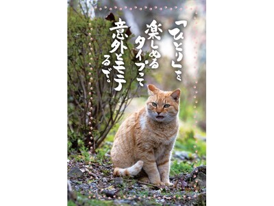 ほろりと泣けて、元気が出る!!　SNSフォロワー60万人の「ネコ坊主」待望の書き下ろしは、にゃんこの金言...