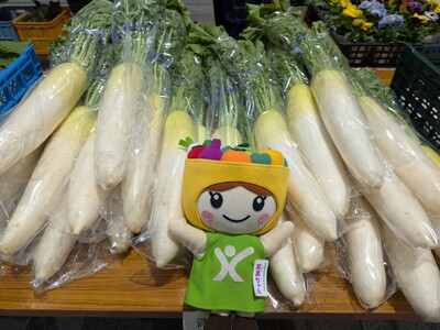 川崎市のブランド野菜『かわさきそだち』をカワサキKEIRINマルシェ「限定」の価格で！　2025年5月6...