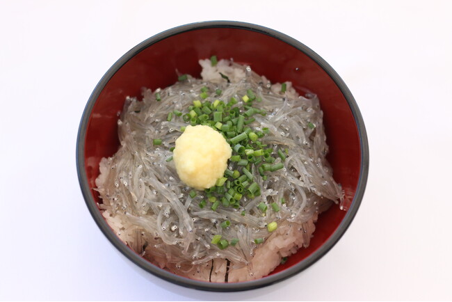 静岡市「用宗漁港」で3月21日(土)から、しらす漁が解禁／初日の水揚げ量は約2,000kg！とれたての「生しらす丼」や用宗漁港限定「しらすソフト」などお土産にもぴったりなしらすグルメも発売
