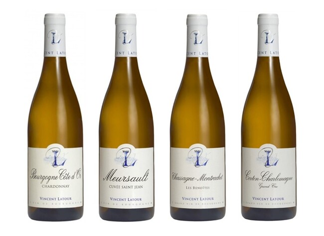 樹齢100年超のシャルドネ！3世紀続くムルソーの老舗『ヴァンサン・ラトゥール』最新2023ヴィンテージを販売開始いたします。