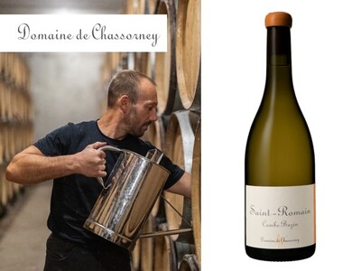 【希少な2024年】収穫量50%減を乗り越えた“垂直的”なエネルギー 自然派ブルゴーニュの巨匠『ドメーヌ...