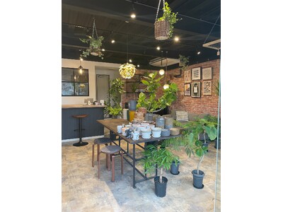 6/24 JR住吉駅近に観葉植物店Lou’s forestオープン。地域の“セカンドリビング”に