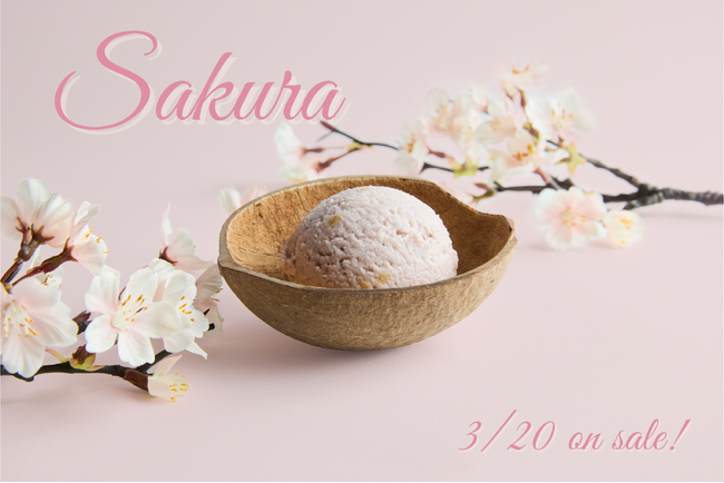 ココナッツグレン、春の訪れを感じる期間限定フレーバー「Sakura」を3月20日（木）より発売！