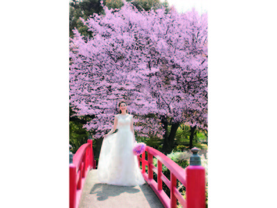 桜の名所で結婚準備！ホテルの豪華試食＆お花見も叶える、プレミアムフェア開催