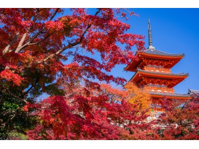 大阪から、紅葉の名所「京都」観光が便利に！　10月14日（土）から、「ホテル」～「京都」間を路線バス運行開始