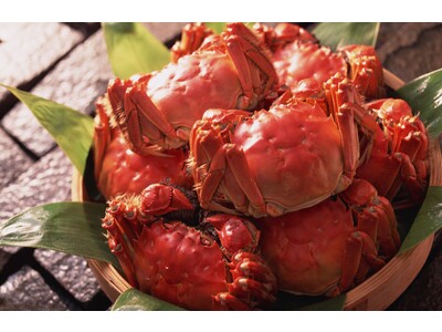 秋の風物詩「上海蟹」解禁！ベストシーズンの上海蟹を食べつくす
