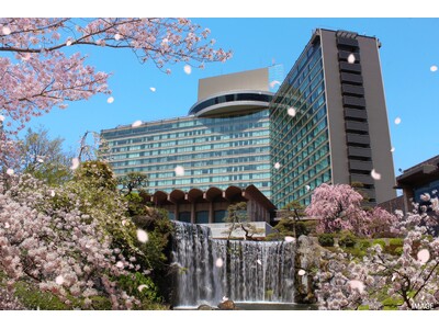 紀尾井町の桜がついに満開に！“花も団子も愉しみたい”方必見のおすすめランチビュッフェ2種をご紹介！