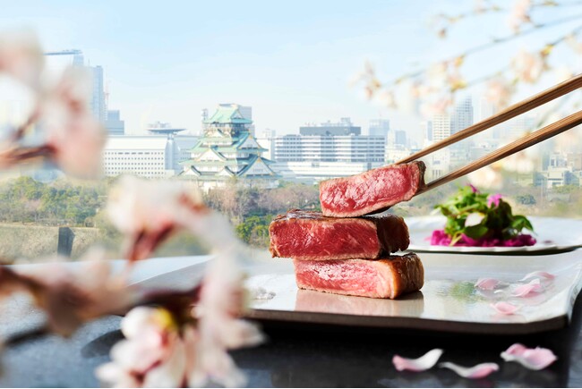 お花見＆グルメを満喫！満開の桜とともに愉しむ、春限定メニューが登場！