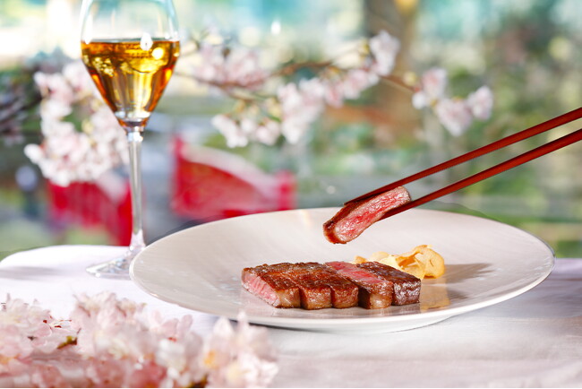 桜を望む特等席で、厳選和牛がメインの春色メニューを堪能。
