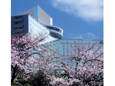 これぞ日本の春！東京の桜通りをめぐる「お花見人力車」で江戸情緒を体験！