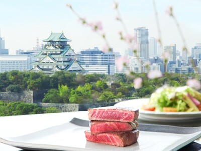 大阪城公園『梅林散策』×『ホテル美食』。1,245本の梅が彩る、大人の贅沢な早春のひとときを。