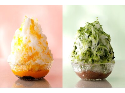 “頭キーン”知らず！まるで綿雪な極上かき氷に、待望の抹茶フレーバーが新登場