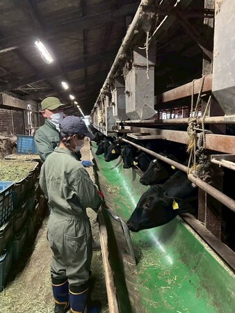 所沢高校の生徒有志が“幻のブランド牛”を守る！所沢牛の飼育・直売に地域ぐるみで挑戦