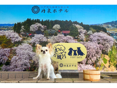 ワンちゃんと一緒に温泉を楽しむ！赤湯温泉旅館の丹泉ホテルが「ワンちゃん専用足湯」をリニューアルし、7月2...
