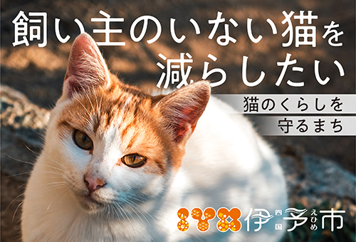 【愛媛県伊予市】残りあと２か月！！『猫のくらしを守るまち』を目指してガバメントクラウドファンディング(R)を実施中！