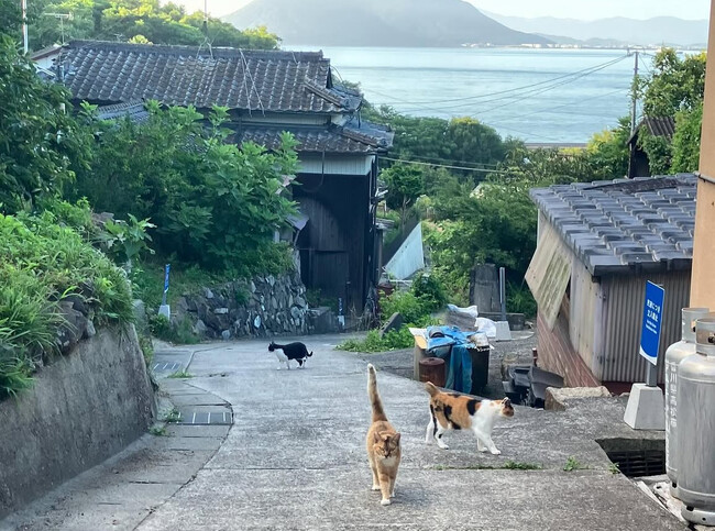 プレスリリース「web3.0で実現する「地域×アート×教育」の共創、共創DAOと穴吹デザインカレッジが連携」のイメージ画像