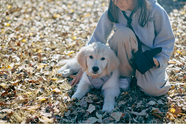 【ペットの家族化・イベント初心者応援】愛犬と120%楽しめる犬種別フェスを関東近郊で今秋開催！初参加でも友達が作りやすい「名刺交換会」や「愛犬の年齢別集合写真撮影」などを企画