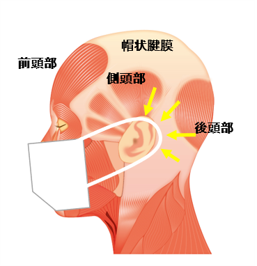 ほぐし（※１）、促す（※２）、頭皮から顔の引締めと髪育。2021年１月20日開始　「頭・筋膜リリースリフト」開始のお知らせ