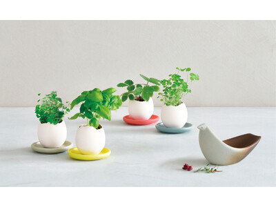1999年誕生、栽培キット第一号「eggling」ロングセラー商品に、待望の専用ソーサー付き新モデル登場