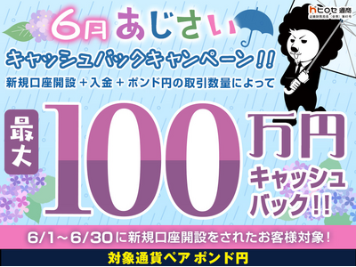 【新規口座開設限定】6月あじさい最大100万円キャッシュバックキャンペーン！を実施