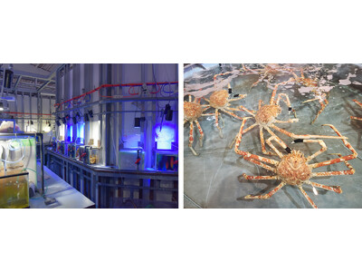【フェアフィールド・バイ・マリオット 道の駅プロジェクト】 触れて、学んで、発見する！水族館バックヤードツアー開催