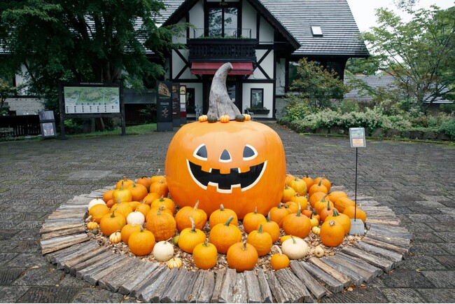 【山梨県・萌木の村】1000個以上のカボチャでガーデンをデコレーション「萌木の村ハロウィンマンス2026」（10月1日～31日）開催！