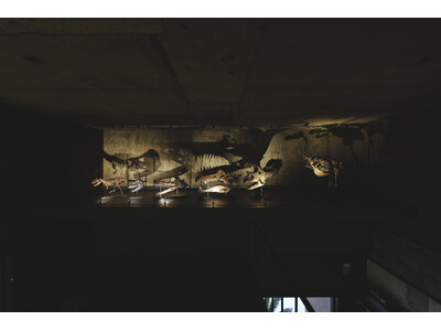 【福岡 8/23開催】オープン1周年記念「ナイトミュージアム 2025 by 買える化石博物館」を初開催...