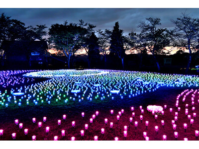 【新潟県小千谷市】イルミネーションイベント「オヂヤホタル2026～ OJIYA HOTARU illumination～」を実施します（夏季：8月18日～）