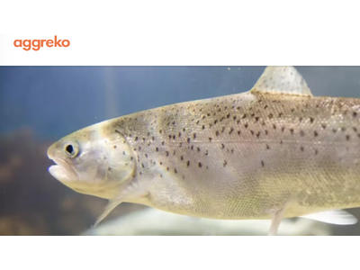 【アグレコジャパン】陸上養殖向け「仮設冷却・仮設電源ソリューションサービス」を本格展開