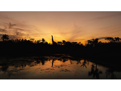 暑さも和らぐ夕方に、贅沢なリゾートタイムを楽しもう！午後からゆったり遊びつくせる「アフター3満喫チケット...