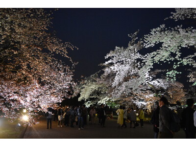 LIGHT CYCLES KYOTO（ライトサイクル京都）桜の季節を先取りする「春待ちのイルミネーション...